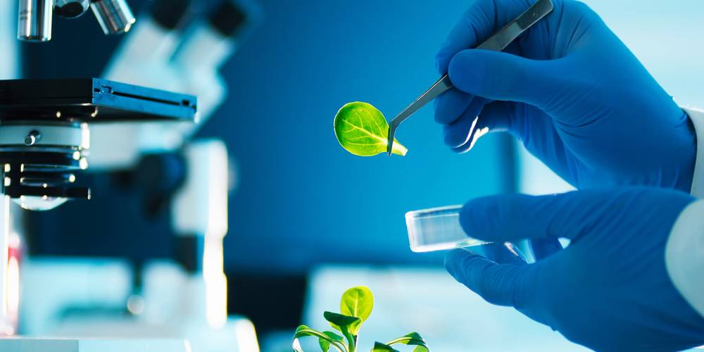 Aktien zu Agrar- und Biotechnologie