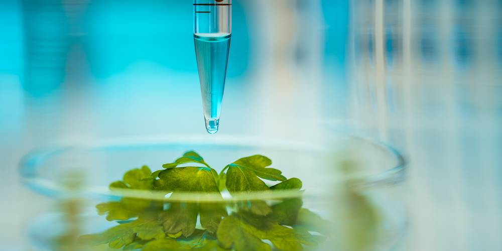 Aktien zu Biochemie