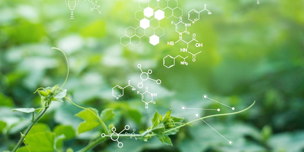 Aktien zu Biopharmazeutika