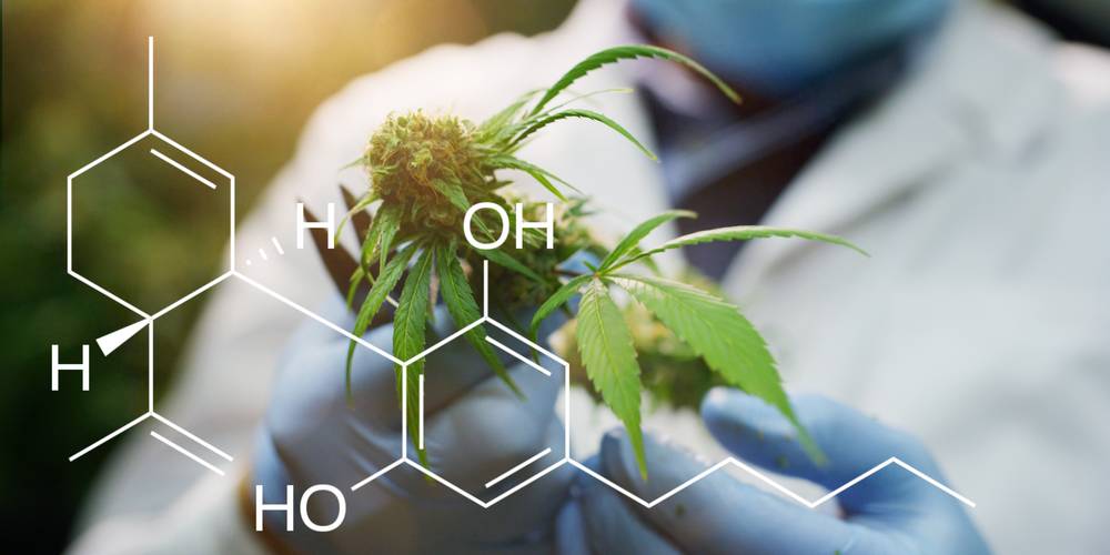 Aktien zu Biosimilar
