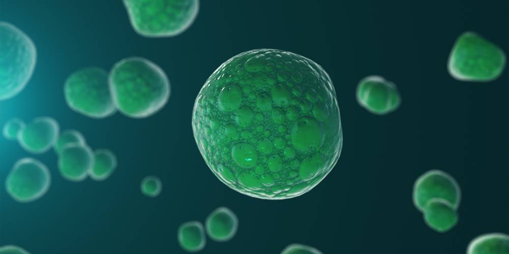 Aktien zu Biotechnologie (Medizin)