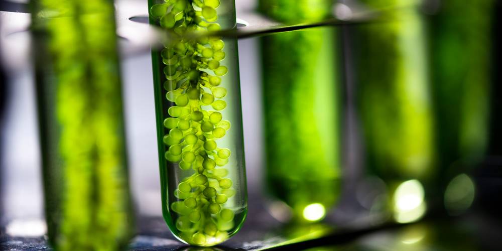 Aktien zu Biotechnologie
