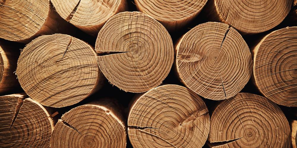 Aktien zu Holzwirtschaft