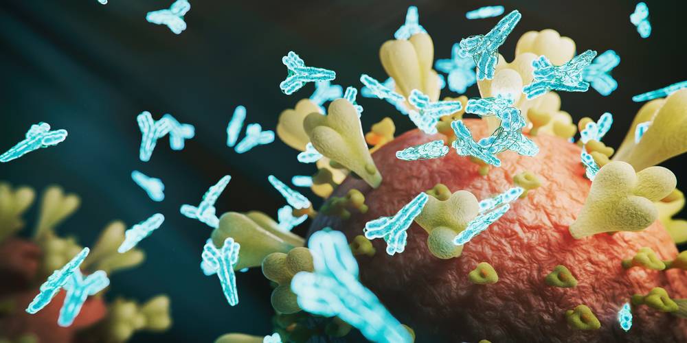 Aktien zu Immunologie