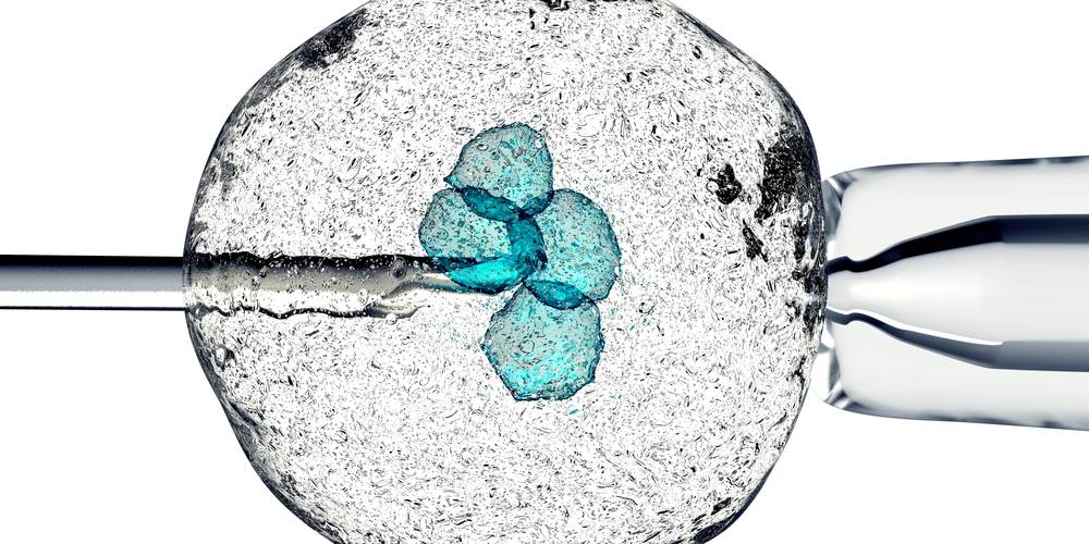 Aktien zu Reproduktionsmedizin