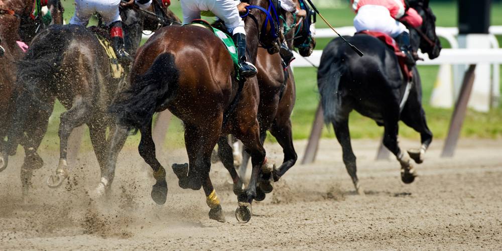 Aktien zu Sportwetten