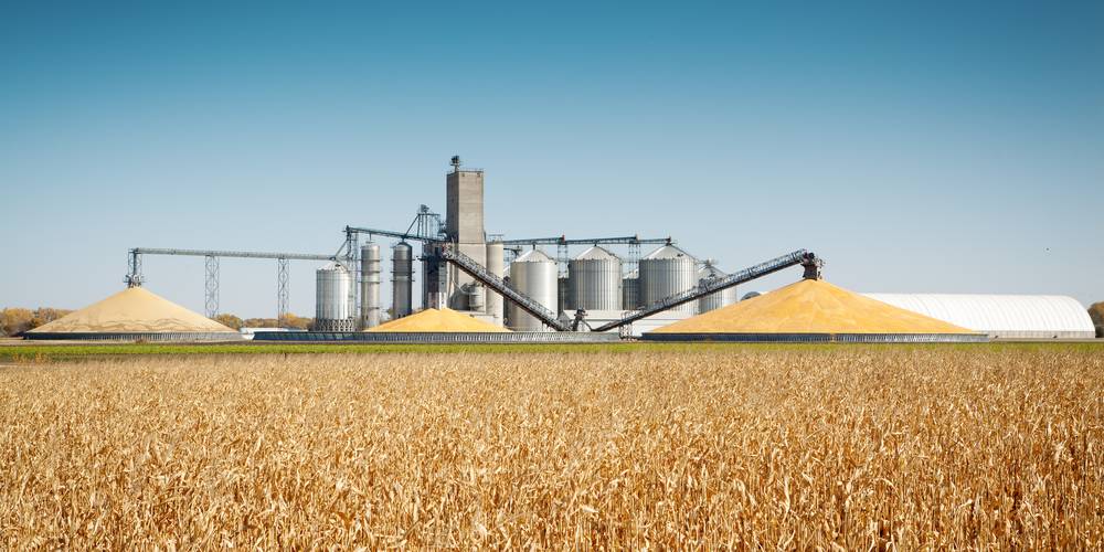 Aktien zu Zellulose-Ethanol