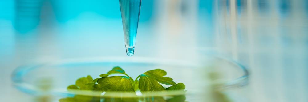 Aktien zu Biochemie