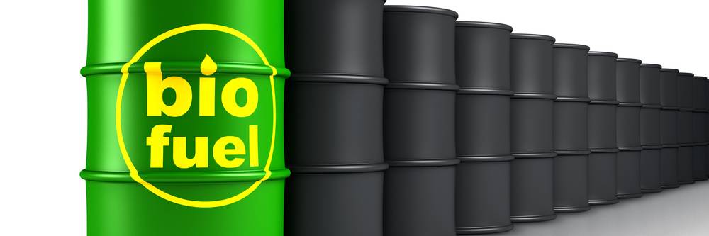 Aktien zu Biodiesel