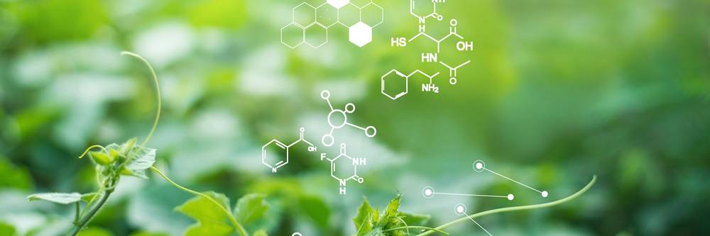 Aktien zu Biopharmazeutika