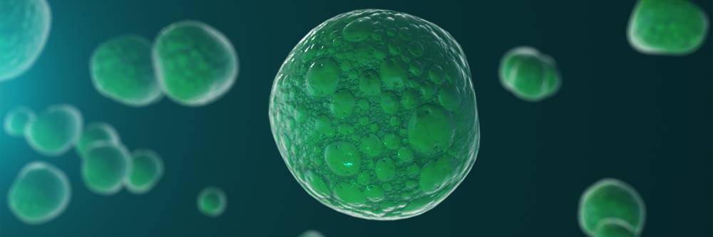 Aktien zu Bioelektronik