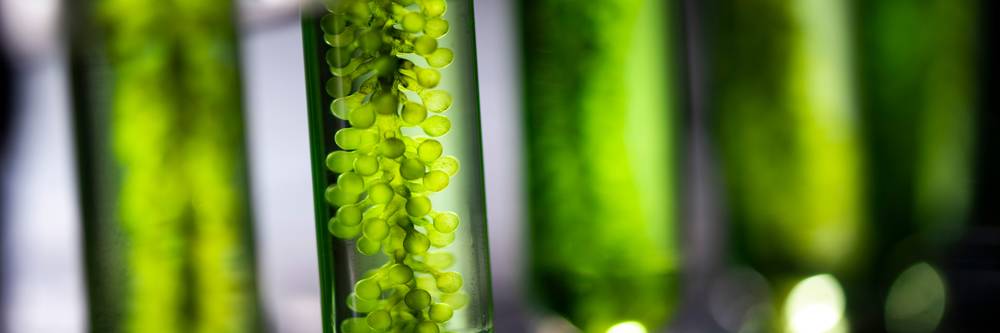 Aktien zu Biotechnologie