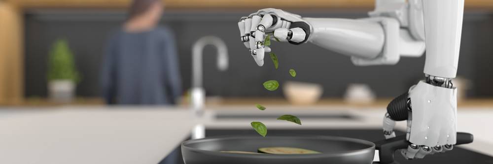 Aktien zu Haushaltsroboter