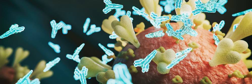 Aktien zu Krebs Immuntherapie