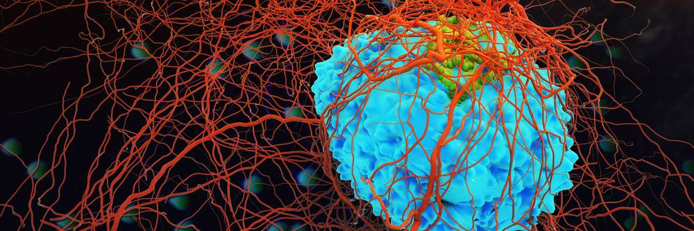Aktien zu Krebsparmazeutika