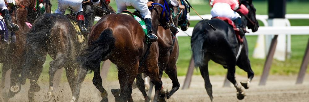 Aktien zu Sportwetten