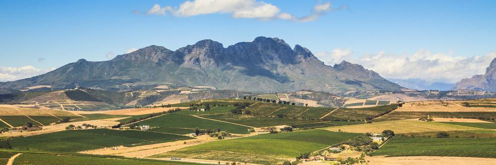 Aktien zu Südafrika